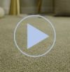 Four seasons carpet video